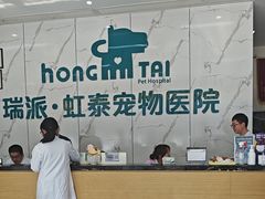 -虹泰宠物医院 ·旗舰店·24h(南秀路店)