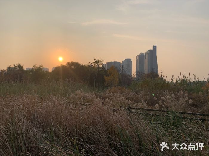 郑东新区湿地公园图片