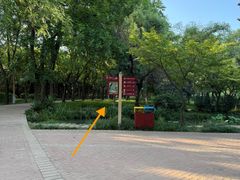 -洛阳市隋唐城遗址植物园
