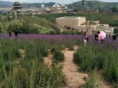 景点-白鹿原影视城