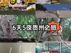 -黔灵山公园
