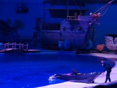 -华夏文旅海洋公园