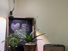 -本無咖啡·BeanWood Coffee