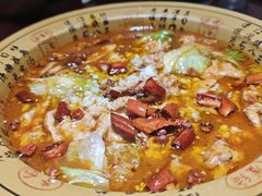 -邵年鸽(杨庄店)