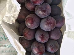 -马陆小张葡萄园农家乐