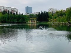 -深圳龙潭公园