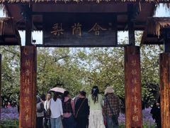 -江苏三台山国家森林公园