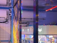 -移动谜城·大笨象密室逃脱(五棵松店)