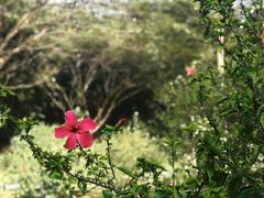 -云溪植物园