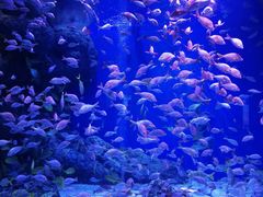 -成都浩海立方海洋公园