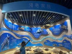 -广东惠东海龟国家级自然保护区