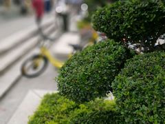 -黄埔古港