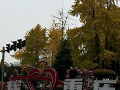 -重庆十八梯传统风貌区