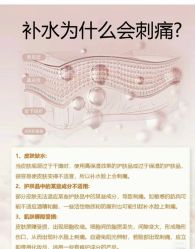 点击看大图 -玛莲朵·海菲秀冰珀科