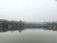 -枫香湖儿童公园