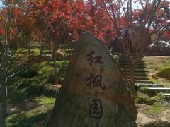 -广州市帽峰山景区
