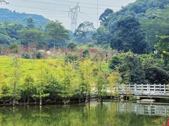 -广州市帽峰山景区
