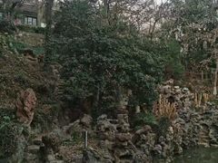 -伯先公园