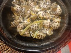 黄油焗花螺-恭喜上堓砂锅焗·海鲜大排档(闵行龙湖店)