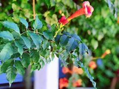 -西安市第二十三中学