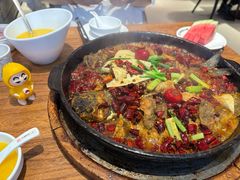 -老板恋上鱼(恒隆广场店)