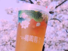 -鸡鸣赐茶(鸡鸣寺路店)