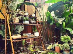 -云里小坐·小院里·团建·宴请·下午茶(三圣乡店)