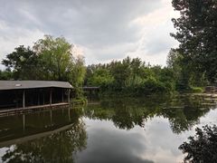 -溱湖国家湿地公园