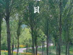 -东郊湿地公园