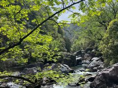 -石台牯牛降景区