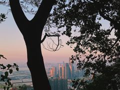 -小南山公园
