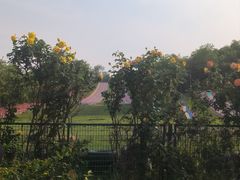 -南翠屏公园