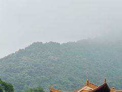 -深圳仙湖植物园