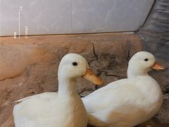 -昆明大悦城未来动物城(螺蛳湾中心店)