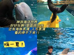 -威海华夏城景区