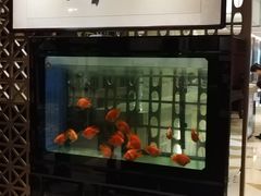 -北京西单美爵酒店-融轩中餐厅