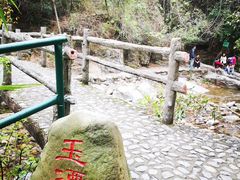 -紫云谷景区