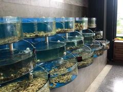 -蓝珊甄选海鲜自助·火锅大排档(近阿那亚店)