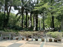 -深圳国际园林花卉博览园