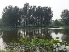 -东郊湿地公园