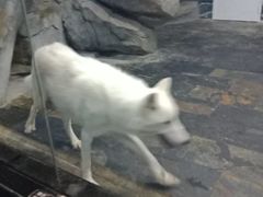 -梦幻海洋王国(吾悦广场张家港店)