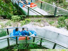 -龙湾潭国家森林公园