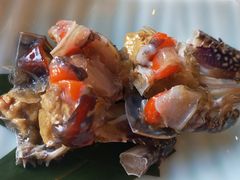 -渔娘渔家丹东海鲜(东直门店)