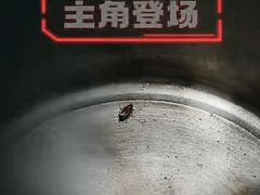 -千椒百味•自贡盐帮川菜