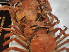 -半岛听涛蒸汽海鲜自助(K11店)