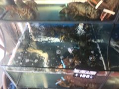 -渔中舟海鲜大排档(普陀沈家门店)