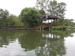 -摇橹船上船码头