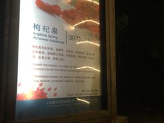 -三亚珠江南田温泉度假区