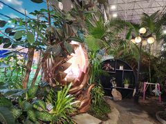 -凯德广场(学府店)