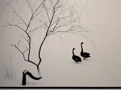 -罗红摄影艺术馆